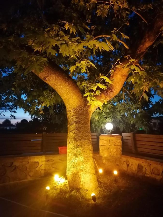 Vital Home Sapanca Isitmali Havuzlu Villa&Bungalov Zewnętrze zdjęcie